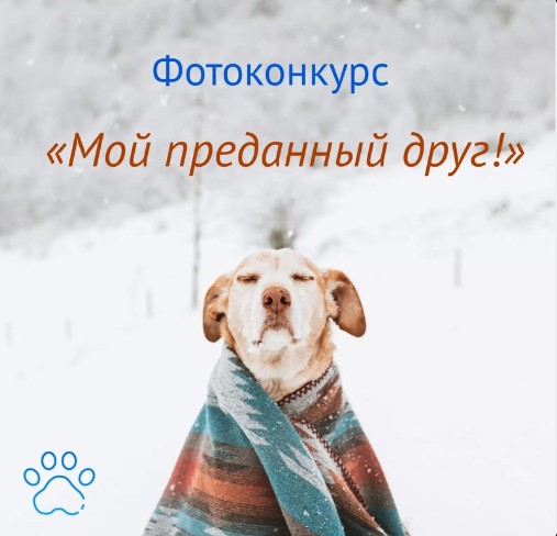 Приглашаем всех желающих принять участие в фотоконкурсе "МОЙ ПРЕДАННЫЙ ДРУГ". Приглашаем всех желающих принять участие в фотоконкурсе "МОЙ ПРЕДАННЫЙ ДРУГ".