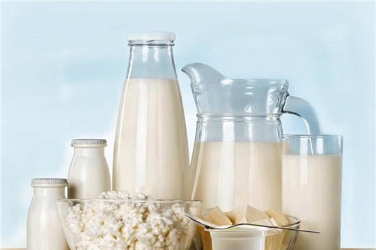 Качество и безопасность молочной продукции. Качество и безопасность молочной продукции.