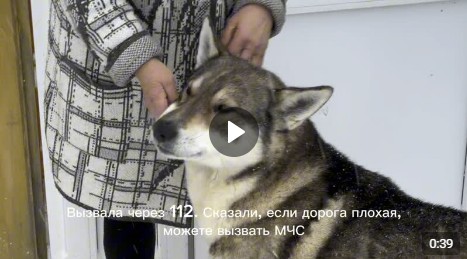 Дорога в Климово на сегодняшний день расчищена. Но случившее в выходные недопустимо. Дорога в Климово на сегодняшний день расчищена. Но случившее в выходные недопустимо.