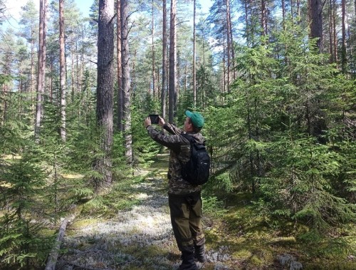 Департаментом лесного комплекса области проведена оценка эффективности деятельности территориальных отделов – государственных лесничеств за 2023 год. Департаментом лесного комплекса области проведена оценка эффективности деятельности территориальных отделов – государственных лесничеств за 2023 год.