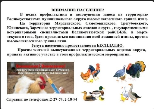 Внимание. Внимание.