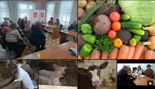 Развитие сельского хозяйства округа через личные подсобные хозяйства. Развитие сельского хозяйства округа через личные подсобные хозяйства.
