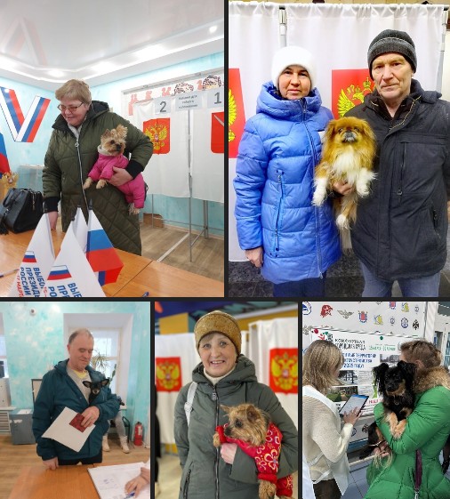 На выборы - с питомцем. На выборы - с питомцем.