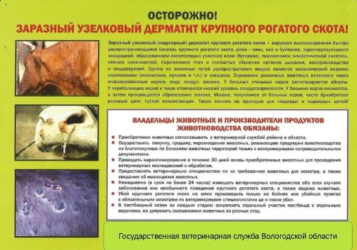 Внимание собственники (владельцы) крупного рогатого скота. Внимание собственники (владельцы) крупного рогатого скота.