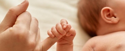 Каждый четвертый малыш на Вологодчине регистрируется через суперсервис «Рождение ребенка». Каждый четвертый малыш на Вологодчине регистрируется через суперсервис «Рождение ребенка».