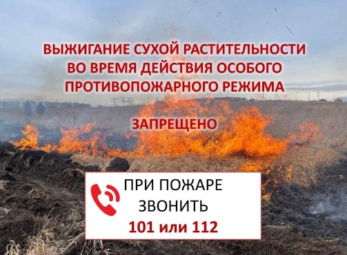 Уважаемые устюжане. Уважаемые устюжане.