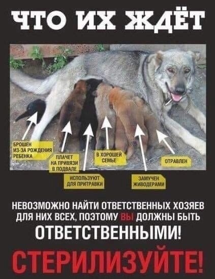 ВНИМАНИЕ! ВНИМАНИЕ! ВНИМАНИЕ!. ВНИМАНИЕ! ВНИМАНИЕ! ВНИМАНИЕ!.