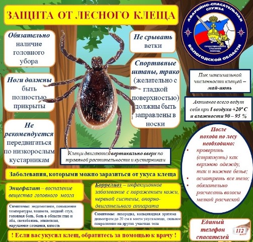 Осторожно! Клещи. Осторожно! Клещи.