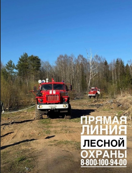 Накануне в Великоустюгском округе ликвидирован лесной пожар. Накануне в Великоустюгском округе ликвидирован лесной пожар.