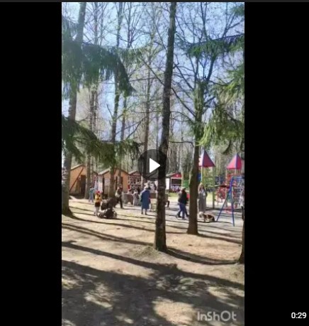 С утра и до вечера в парке культуры и отдыха Великого Устюга звучит смех. С утра и до вечера в парке культуры и отдыха Великого Устюга звучит смех.