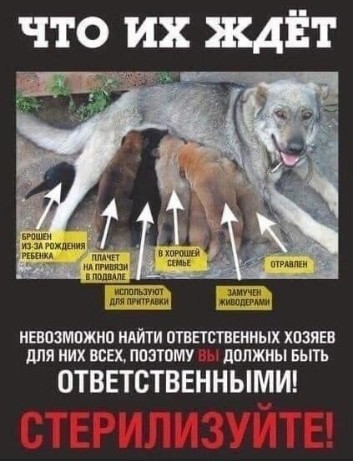 ВНИМАНИЕ. ВНИМАНИЕ.