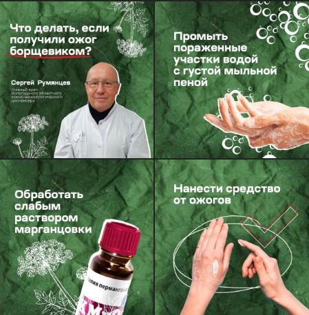Осторожно, борщевик. Осторожно, борщевик.