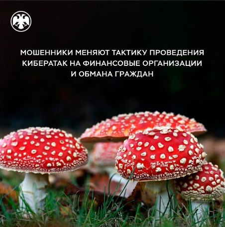 В Банке России рассказали: мошенники меняют тактику проведения кибератак на финансовые организации и обмана граждан. В Банке России рассказали: мошенники меняют тактику проведения кибератак на финансовые организации и обмана граждан.